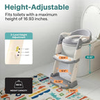 2-in-1 Toddler Potty Training Seat for babies with Step Stool Ladder